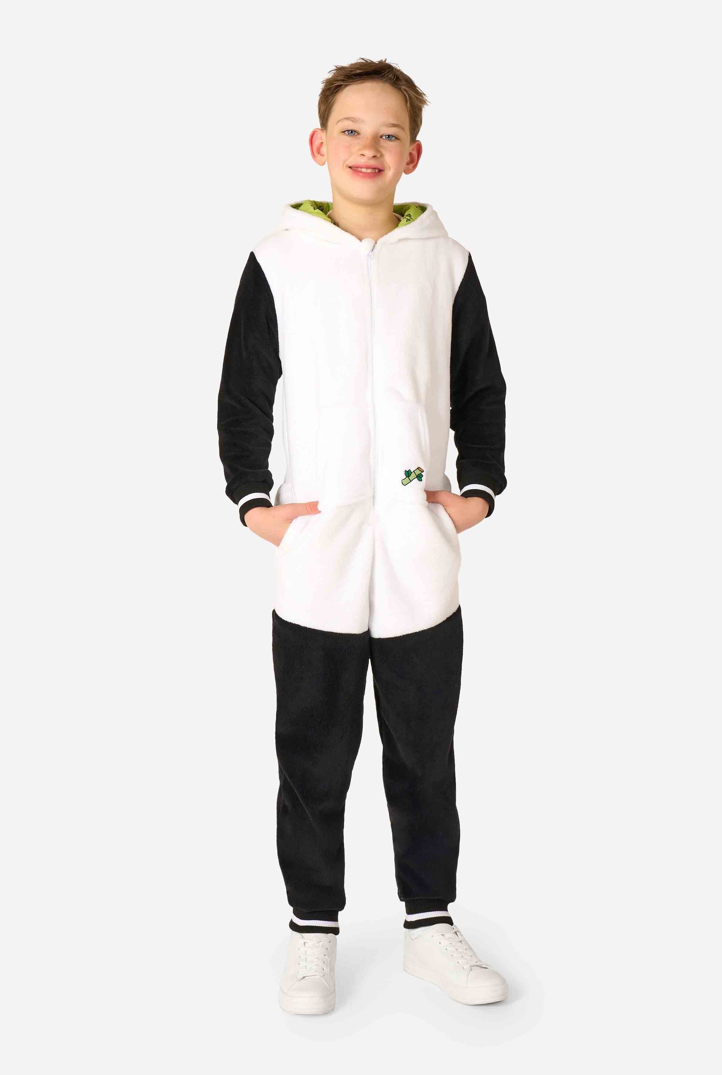 Panda - Image 5