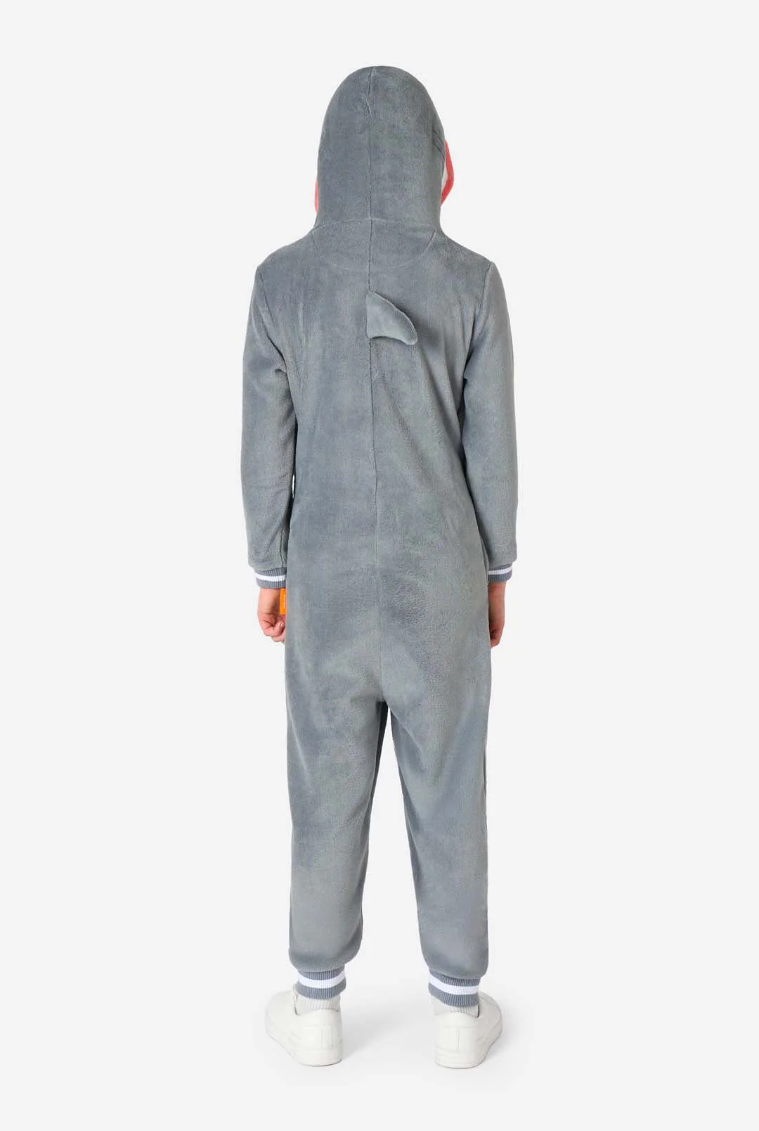 Shark - Image 7