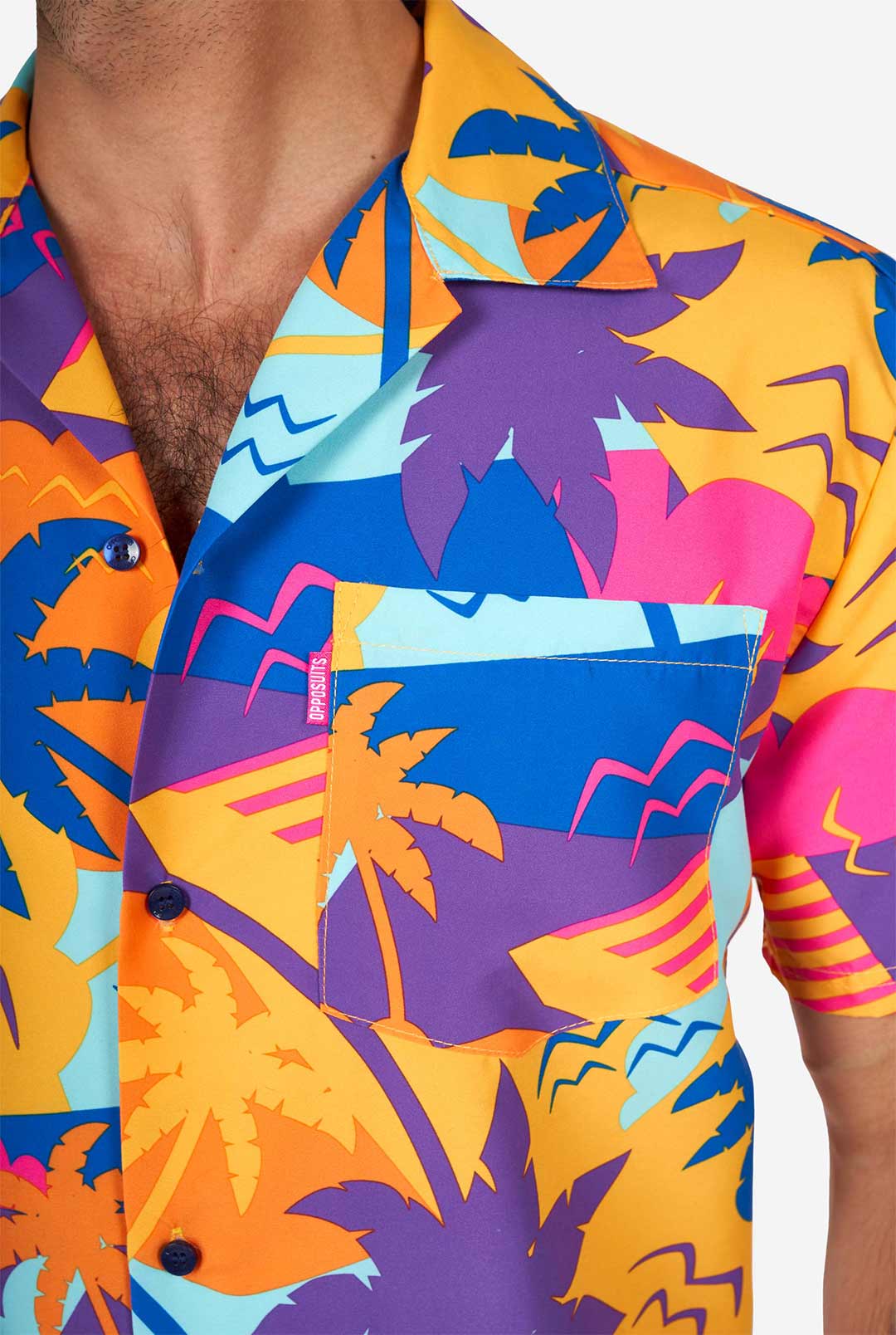 Palm Power - Image 6