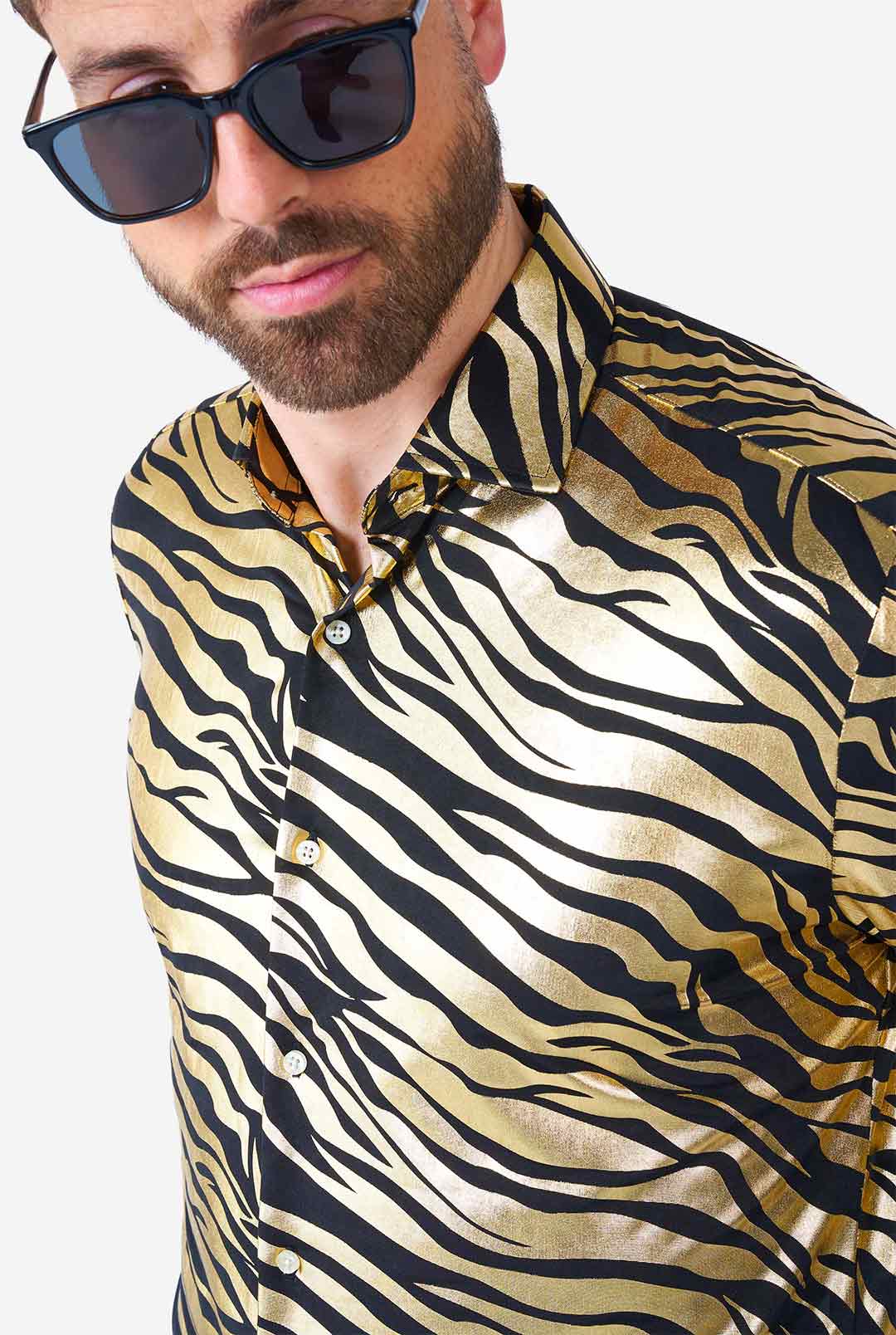 Tiger Shiner - Image 4