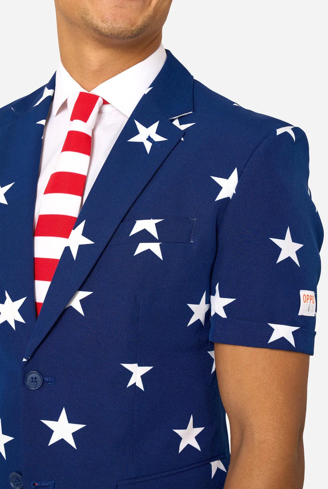 Stars and Stripes - Image 6