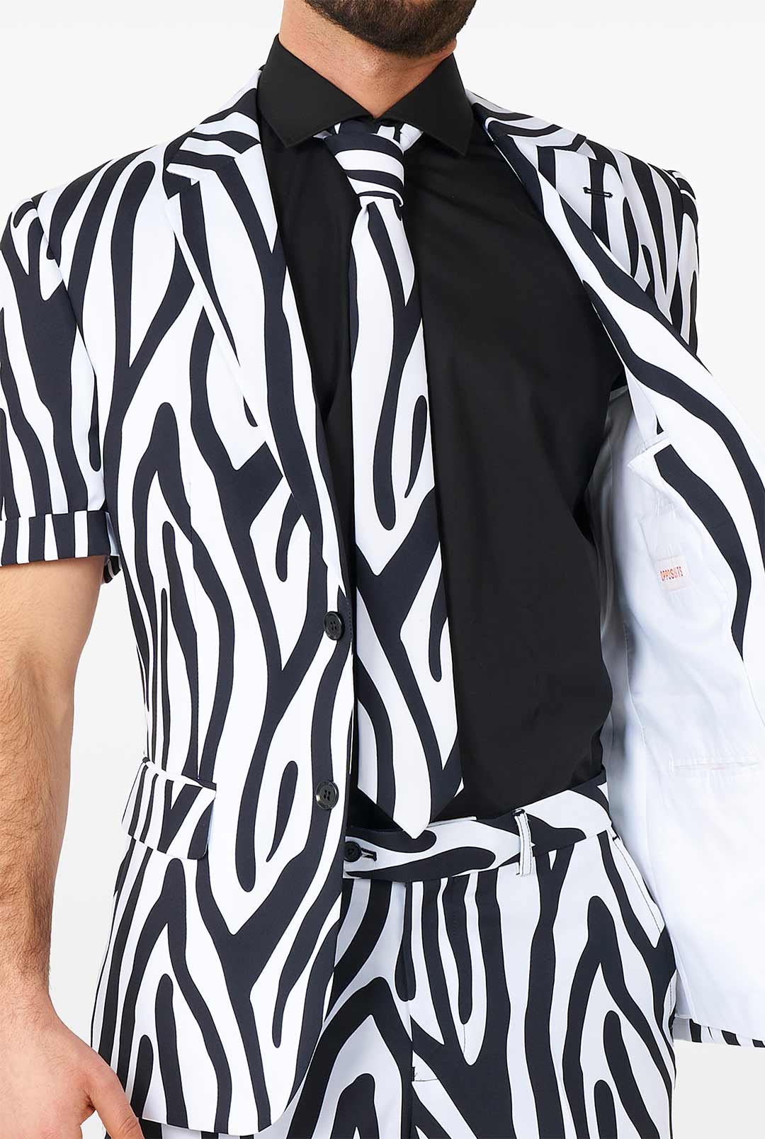 Zazzy Zebra - Image 6