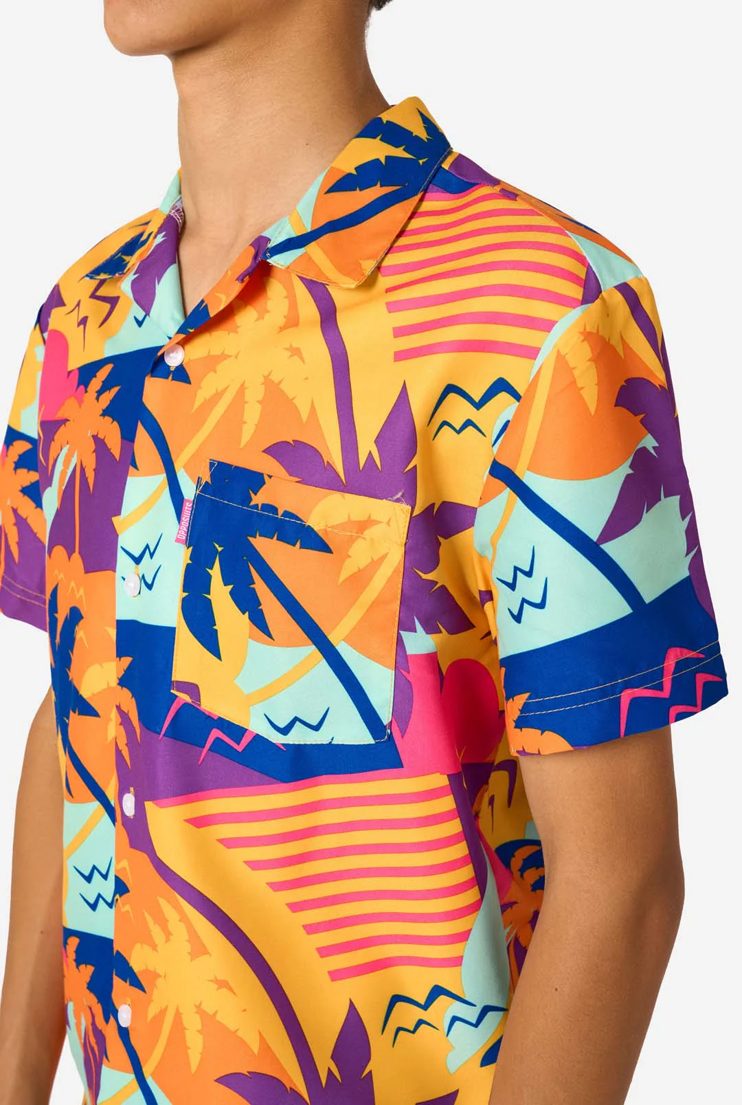 Palm Power - Image 5
