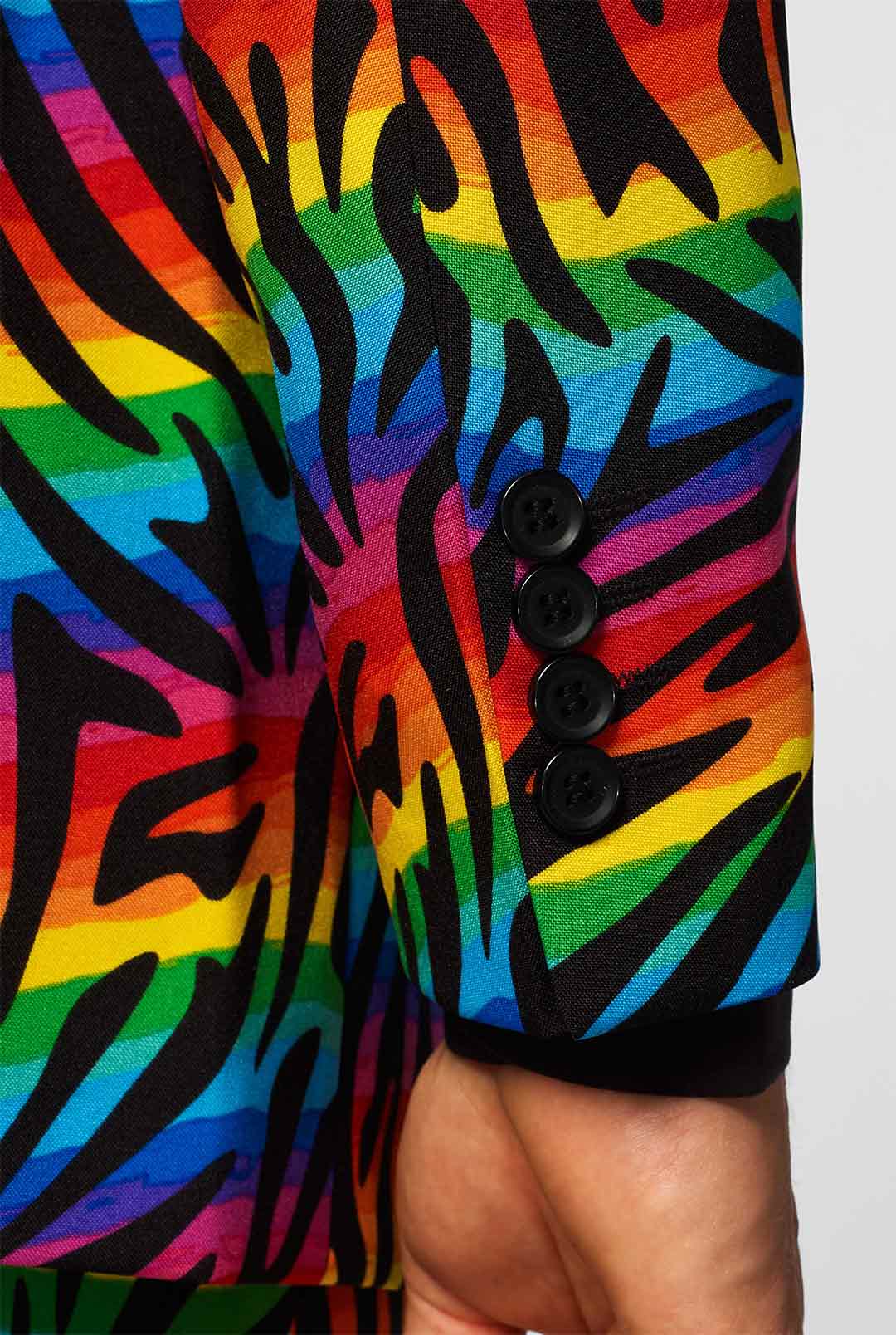 Wild Rainbow - Image 7
